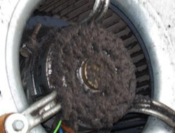 dirty heater fan motor